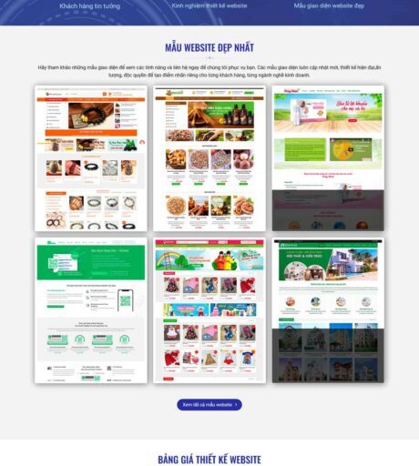 Theme WordPress Công ty Thiết kế Web 5