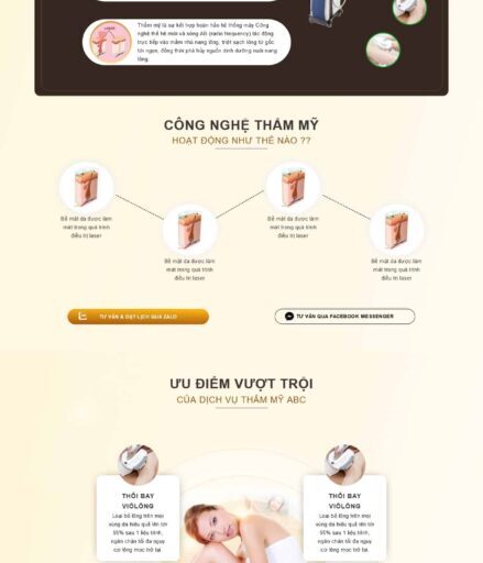 Theme wordpress lading pape triệt long